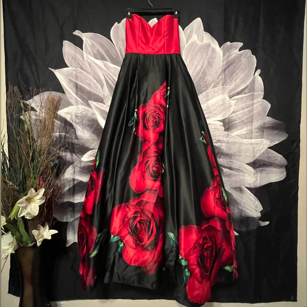 Sweetheart Quince/Prom Dress 🌹